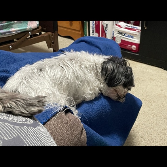 Meet your Posher, Maria - Picture 9 of 16